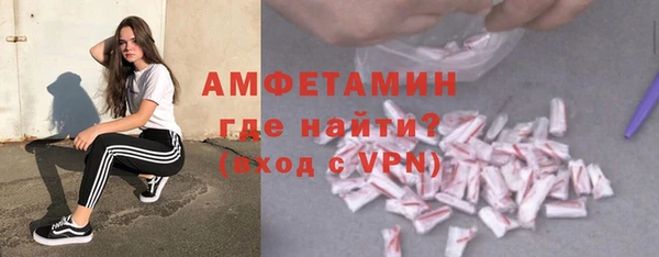 СК Ельня