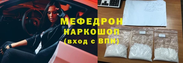 СК Ельня