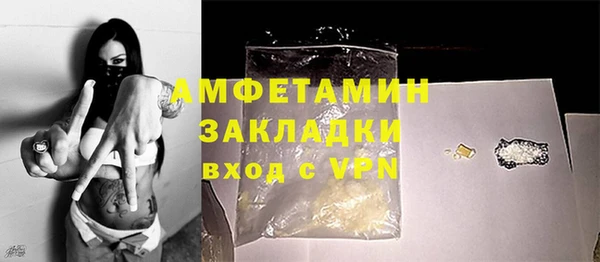 СК Ельня