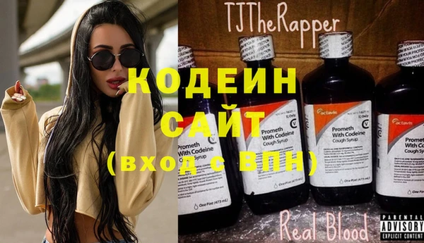хмурый Елизово