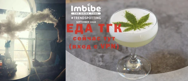 СК Ельня