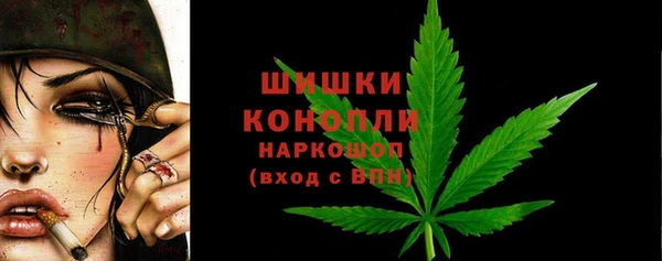 СК Ельня