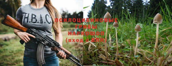 крисы Елабуга