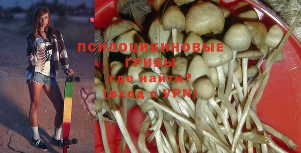 хмурый Елизово