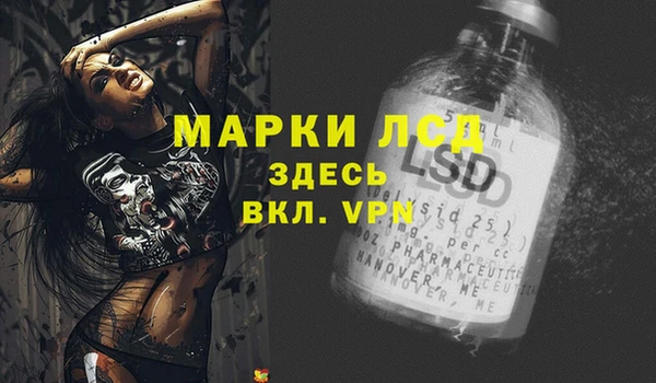 крисы Елабуга