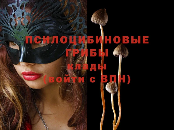 хмурый Елизово