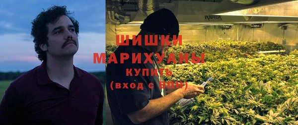 СК Ельня