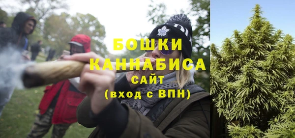 крисы Елабуга