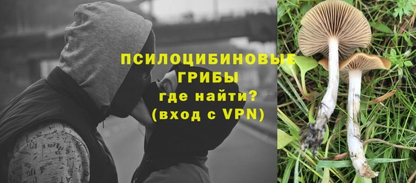 СК Ельня