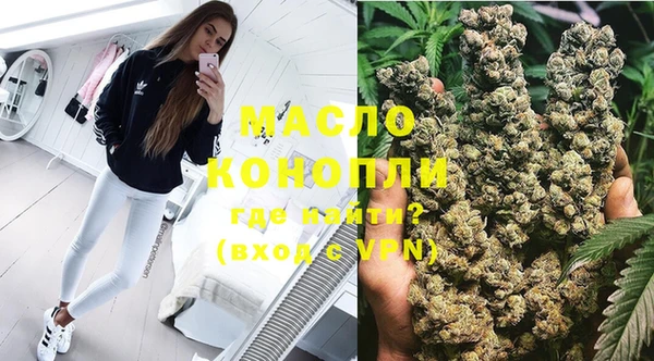крисы Елабуга