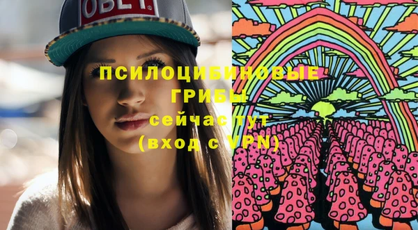 СК Ельня