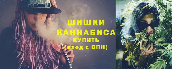 крисы Елабуга