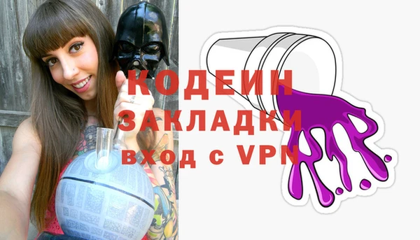 крисы Елабуга
