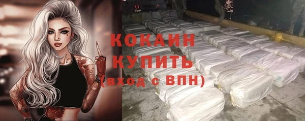 хмурый Елизово