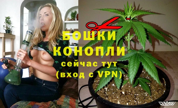 СК Ельня