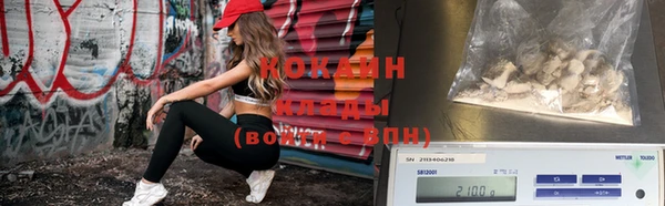 крисы Елабуга