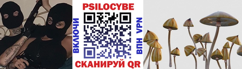 Купить закладки  Кулебаки  Галлюциногенные грибы MAGIC MUSHROOMS 